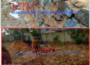Pekerjaan Talud Kemiling Disoal, MTM; Ada Dalang Pengkondisian Proyek Kota