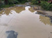 Beberapa Daerah di Way Kanan Banyak Jalan Yang Rusak dan Digenangi Air