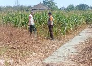 Bhabinkamtibmas Polsek Menggala Gerak Cepat Dorong Ketahanan Pangan Nasional
